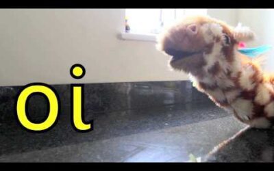 ‘oi’ words