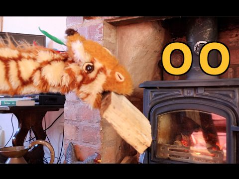 ‘oo’ words (short /u/)