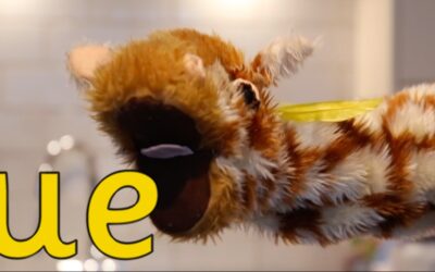 ‘ue’ words